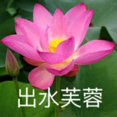 “在台湾，多数人不支持‘台独’”——访中国国民党副主席连胜文